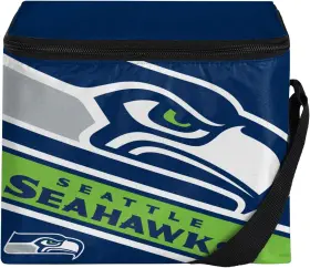 Brand Foco 190163051336 Nfl Unisex-adult Team Big Logo Stripe 6 Pack One Size Color