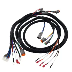 Aix-cb-116 Clubrally Golf Cart Control Wiring Harness For Club Car Ds-black Controller#1510-5201