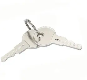 Golf Cart Keys 706092131133 Ezgo Replacement 2 Pack Silver