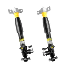 Ash85976 Kalmaegee 2pcs Rear Shock Strut Compatible With Mkx 2016-2018 For Nautilus 2019 C