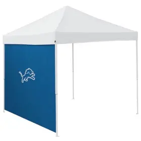 611-48-1 Logo Brands Detroit Lions 2017 9x9 Side Panel