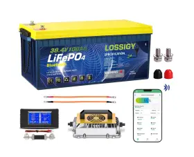 36100-2 Lossigy 36v 100ah Lithium Golf Cart Battery Bluetooth Lifepo4 With 4