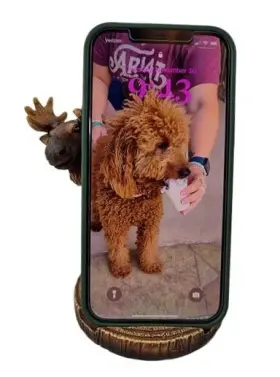 14218 Marco International Inc. De Leon Collections Decorative Cell Phone Holder Stand Accessory 5 Inch
