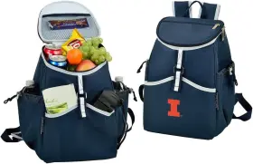 537-blb-il003p Picnic At Ascot Illinois University Fighting Illini Cooler Backpack- 22 Can Capacity-