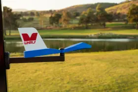 Whirly 767461924770 Bird Golf Wind Pointer - Blue