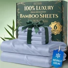 Decolure 100 Viscose Derived From Bamboo Sheets Queen Size 6PCS - Ultra Soft New. Price: $105.08.