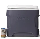 Igloo Thermoelectric Iceless 28-40 Qt Plug-in 12V Coolers New. Price: $165.00.