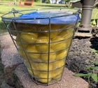 Intech 48 Yellow Foam Golf Balls With Metal Range Basket New. Price: $15.00.