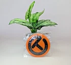 Scotty Cameron Putting Disc Circle Orange Halloween Release Sold Out New. Price: $54.93.