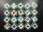 Nhl Hockey Team Logo (20) Poker Lot Fan Souvenir Collector Green Chips New. Price: $32.88.