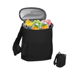 Iyarkai Insulated Backpack, Cooler, 20 Can Black New. Price: $32.56.