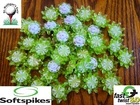 12 Green Pulsar Fast Twist 3.0 Softspikes Cleats New. Price: $9.12.