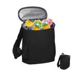 Iyarkai Insulated Backpack, Cooler, 20 Can L... New. Price: $29.34.