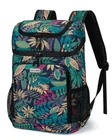 Baglher Cooler Backpack 30 Cans Leakproof Waterproof 5 Reusable Ice New. Price: $46.54.