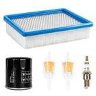 Clubrally Golf Tune Kit For Ds 1992-UP Gas Carts With FE290 Eng New. Price: $24.27.
