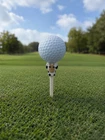 Butthead Tees Team Novelty Cow Rubber Golf Set Of 2 - Brand New. Price: $13.99.