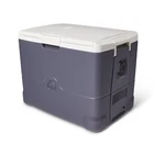 Igloo Portable Electric Coolers (18-60QT) 40 No Compressor Gray New. Price: $353.02.