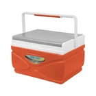 Picnic Cooler 4.5 Liter Hard Coolbox Keeps Contents New. Price: $36.79.