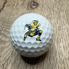 Logo Dallas Highland Park School Fighting Scot Titleist Pro V1X Golf Ball Used. Price: $20.00.