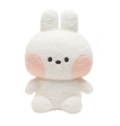 Line Friends Golf Minini Conini Drive Headcover Accessory Nwt New. Price: $80.91.
